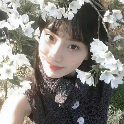 花岛