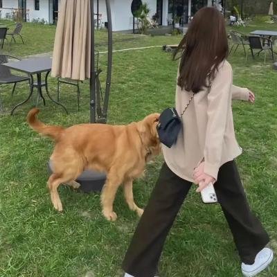 亲爱的司丞大人